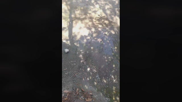 big_blackc  04-08-2022